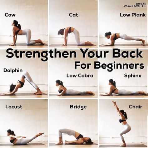 Yoga for Beginners  Strengthen Your Back