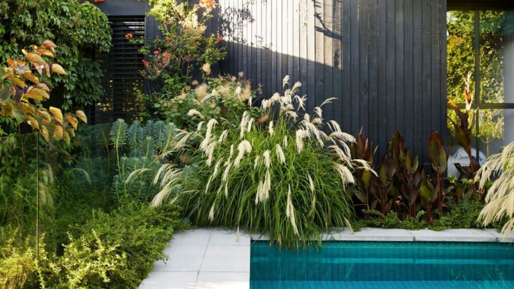 Swimming pools are not always low maintenance but they do provide hours of entertainment. Surround your pool with a protective fence and lots of friendly low maintenance greenery such as native plants and succulents.